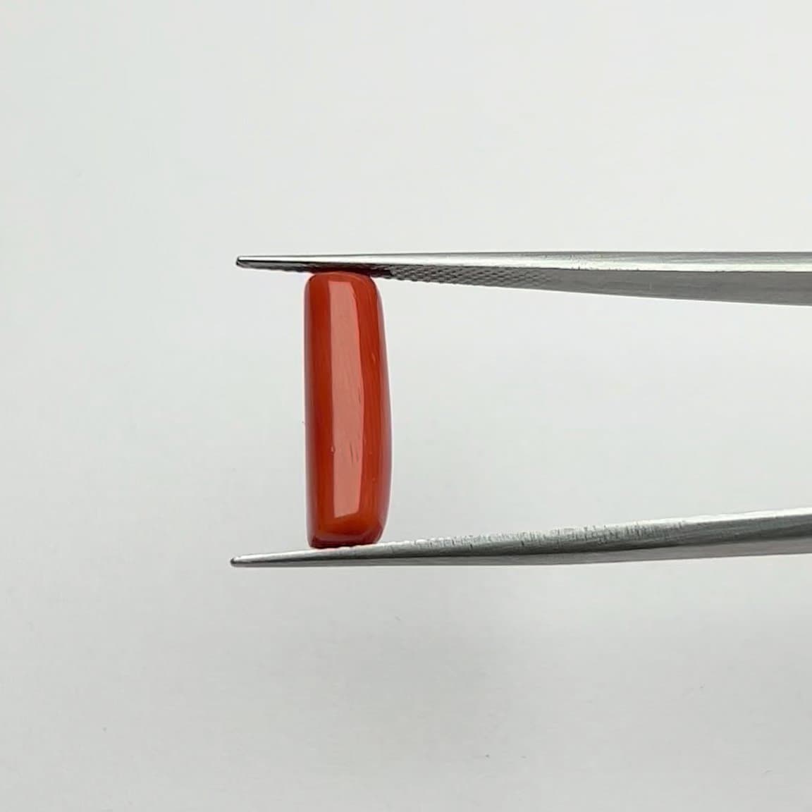 Red Coral | 5.50 Ratti
