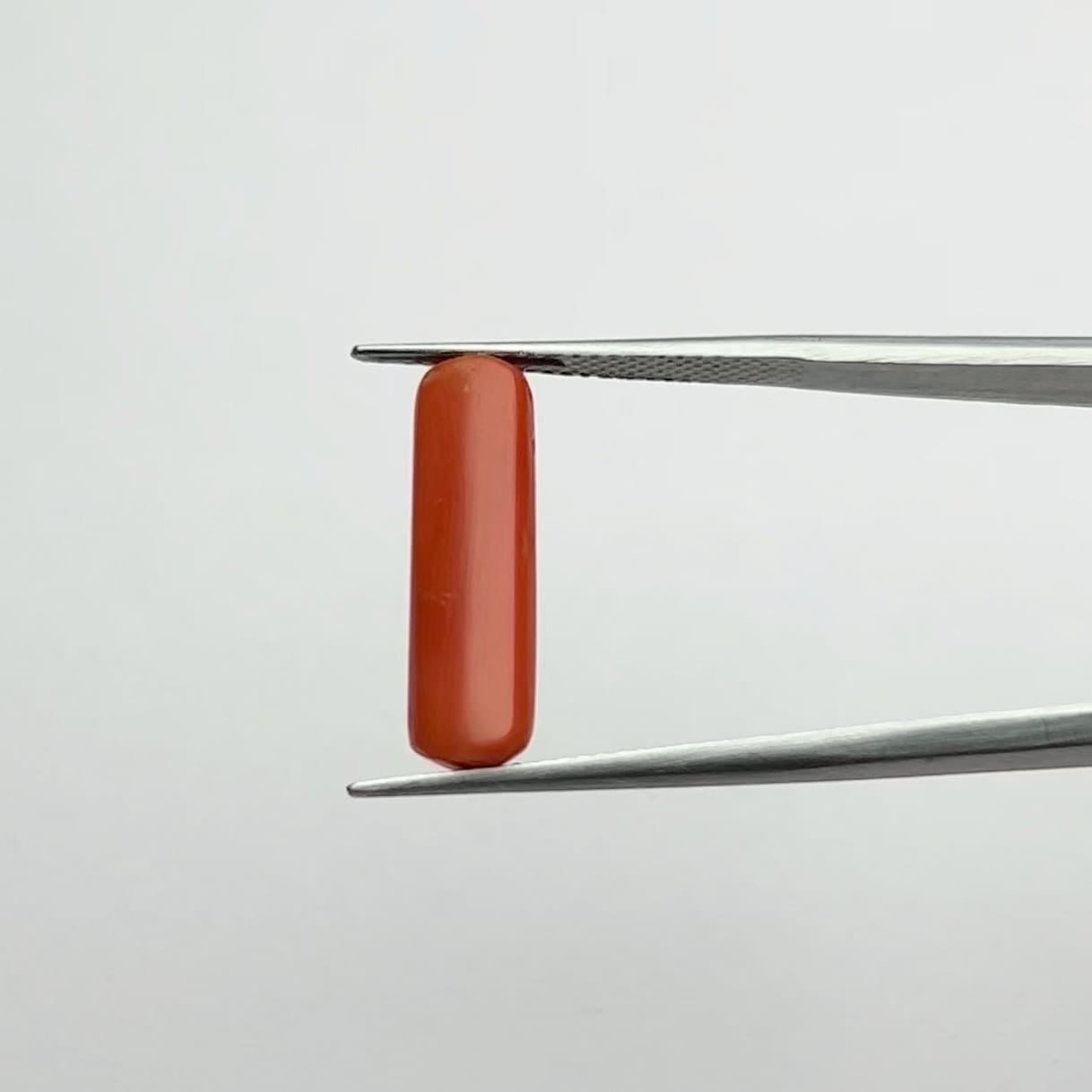 Red Coral | 5.50 Ratti