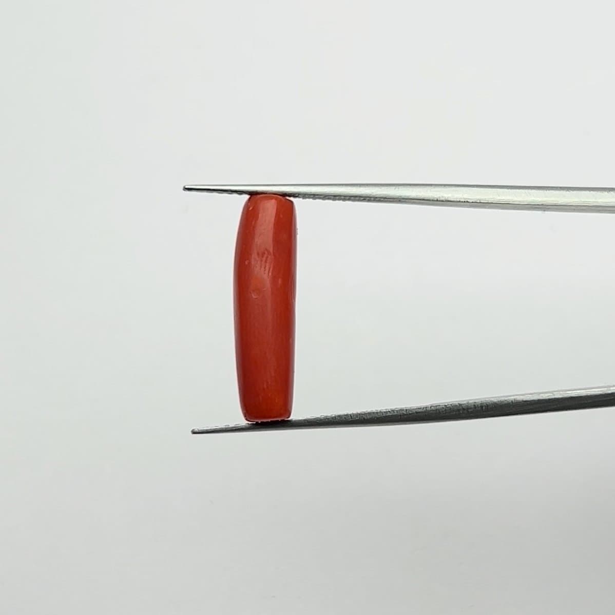 Red Coral | 6.00 Ratti