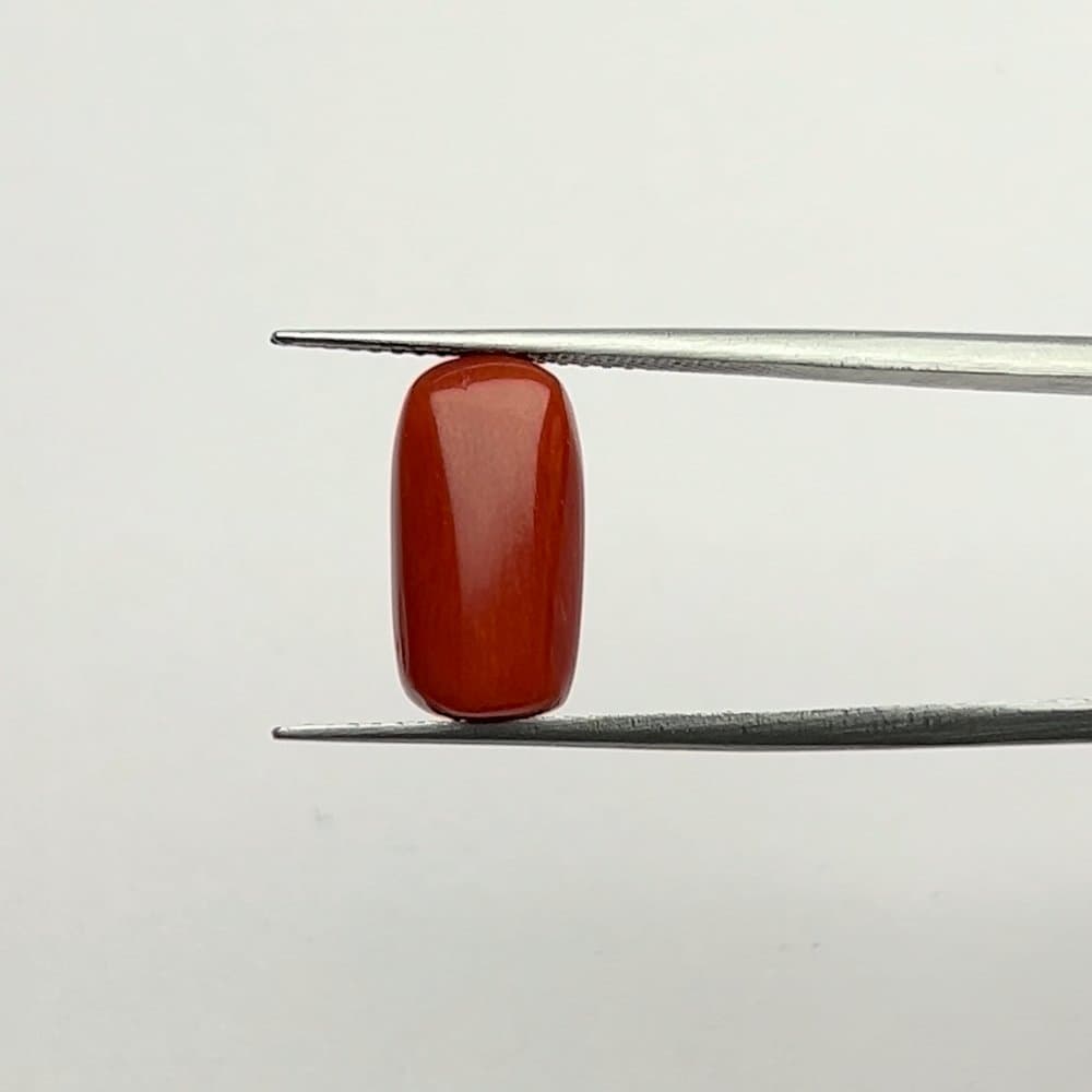 Red Coral | 6.25 Ratti