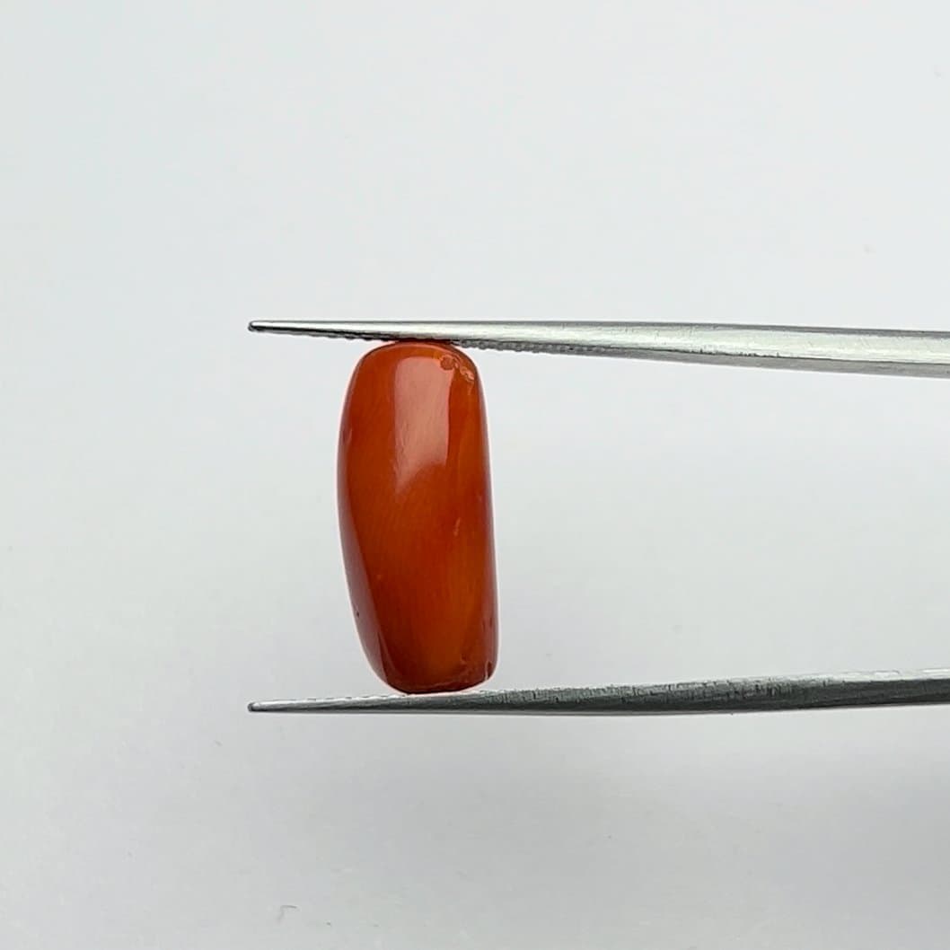 Red Coral | 7.25 Ratti