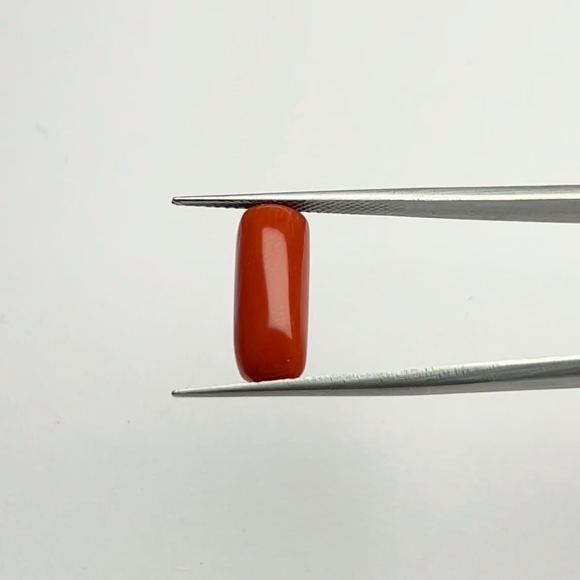 Red Coral | 6.50 Ratti