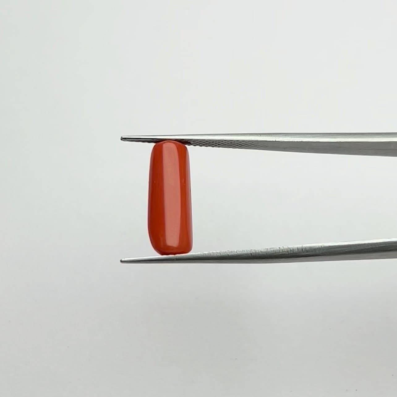 Red Coral | 5.25 Ratti