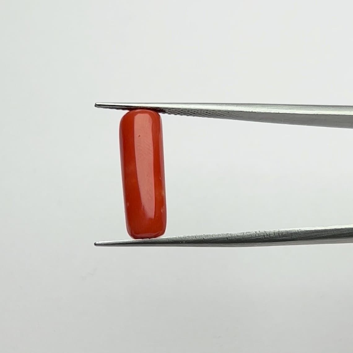 Red Coral | 5.50 Ratti