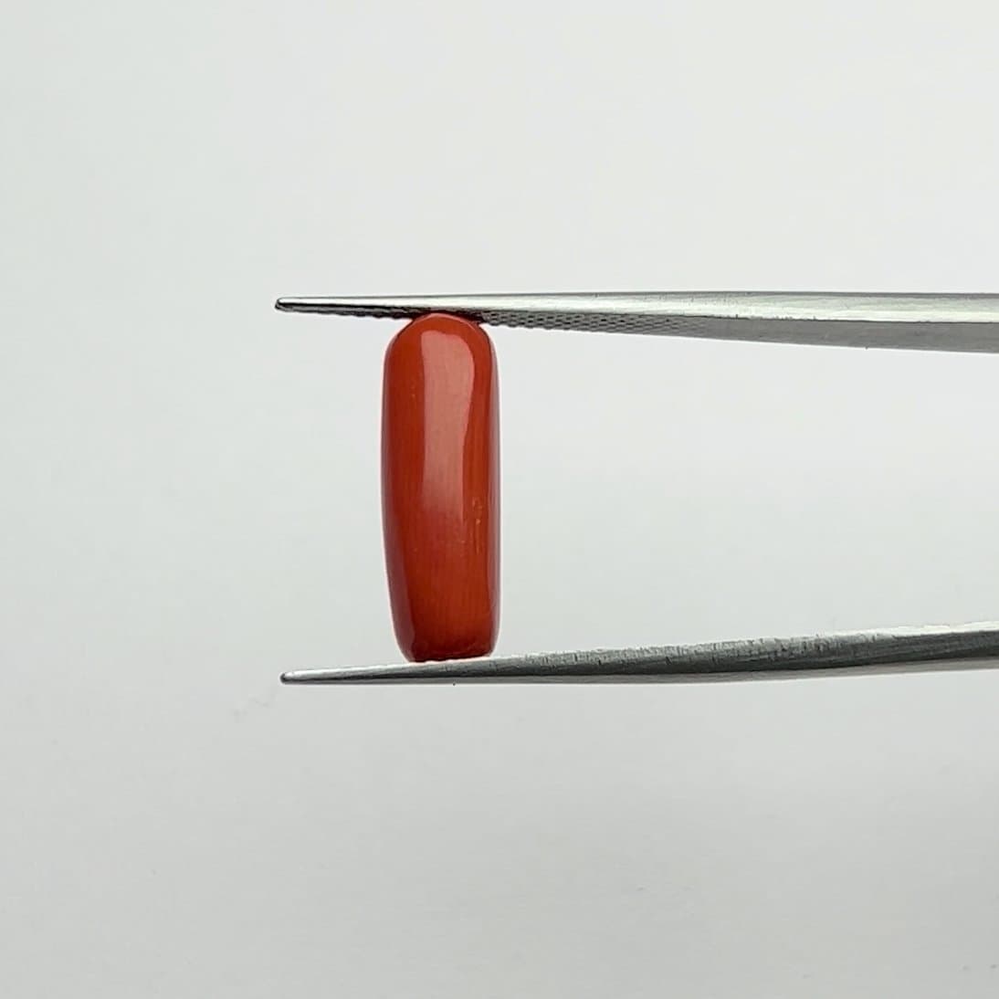 Red Coral | 5.00 Ratti