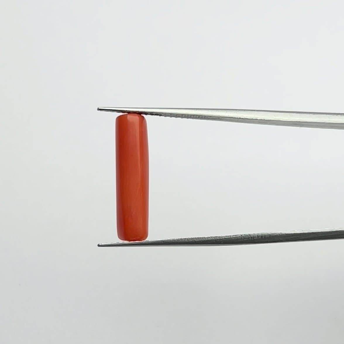 Red Coral | 5.25 Ratti