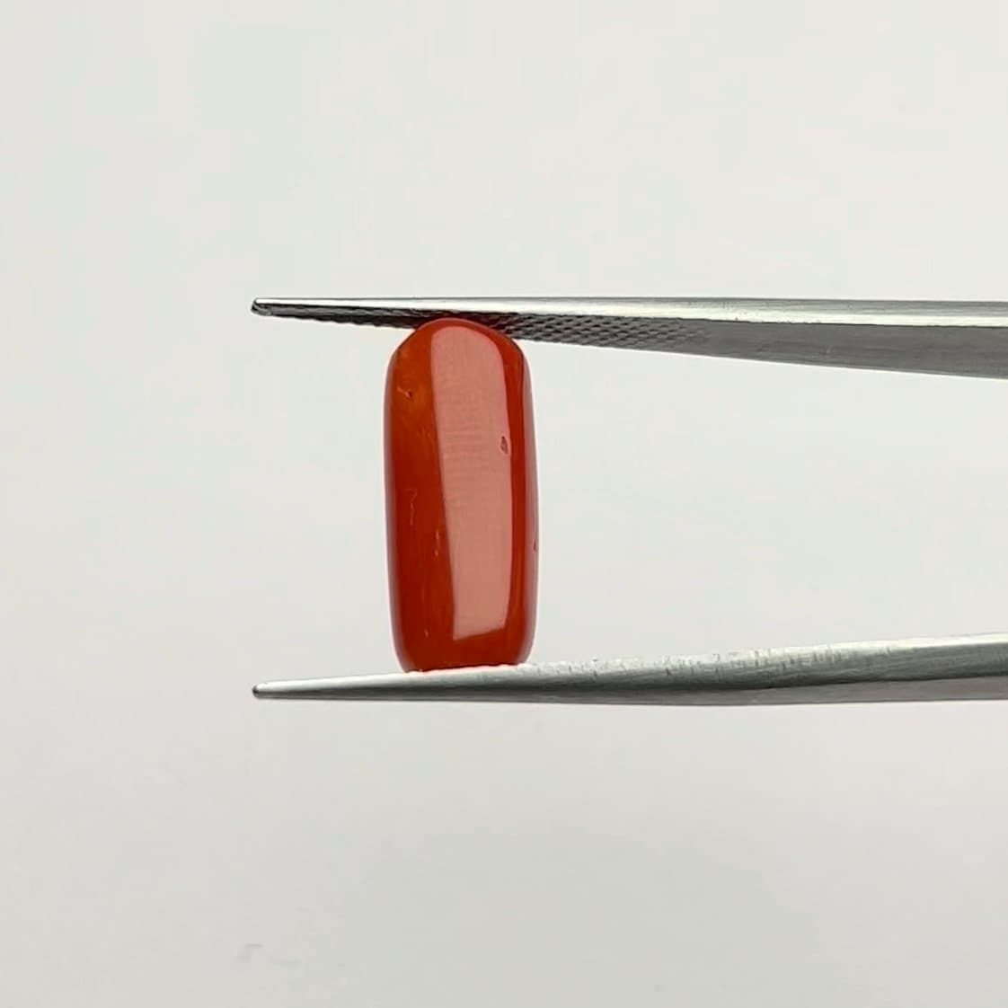 Red Coral | 6.50 Ratti