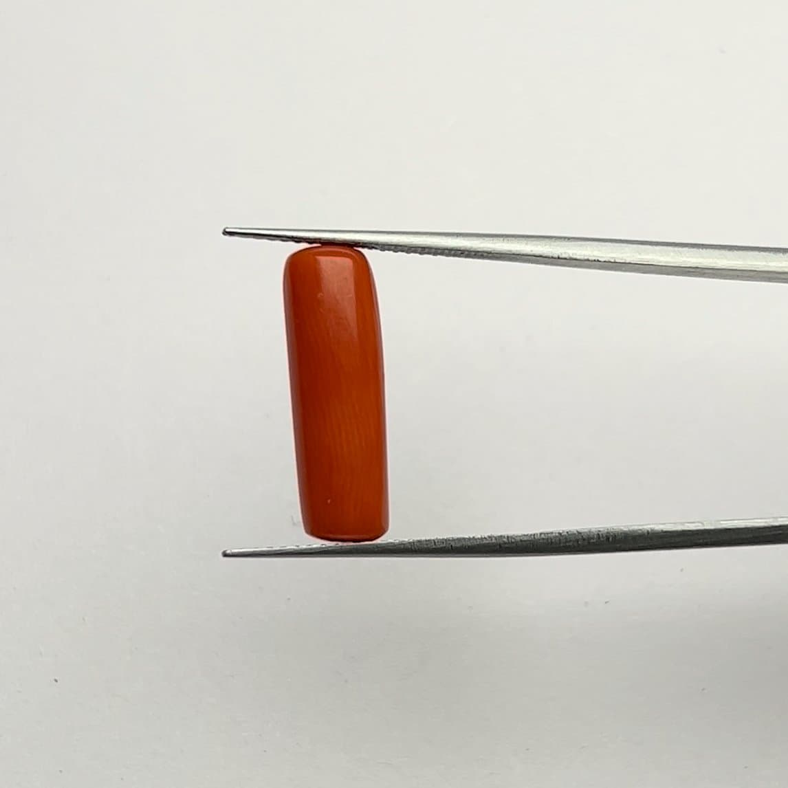 Red Coral | 7.00 Ratti