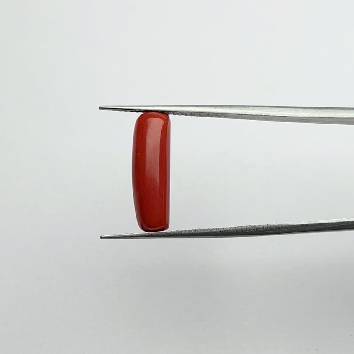 Red Coral | 5.50 Ratti