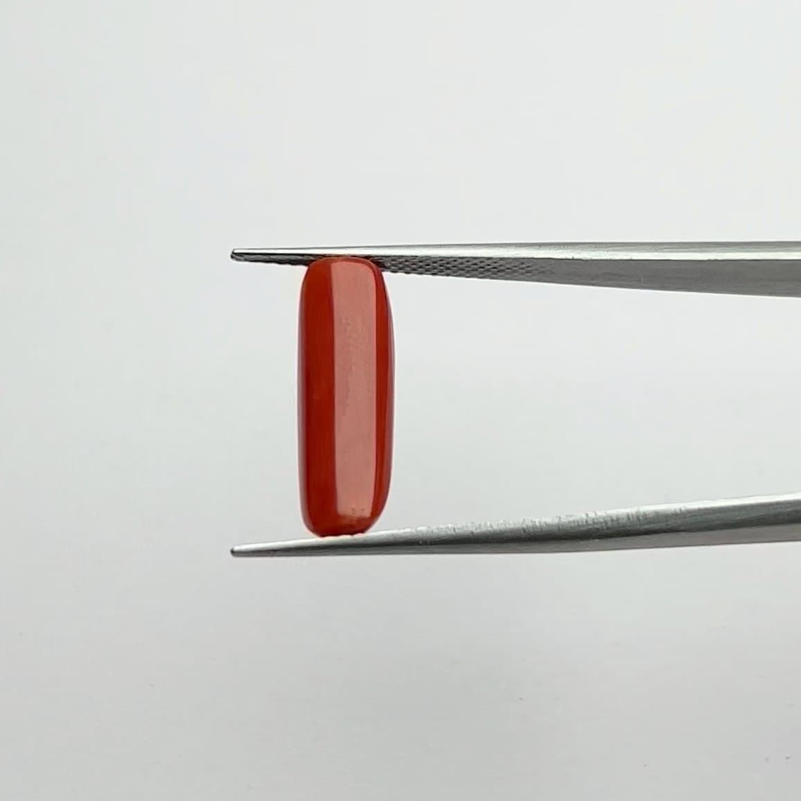 Red Coral | 5.50 Ratti