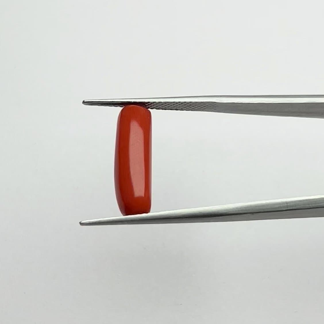 Red Coral | 5.25 Ratti