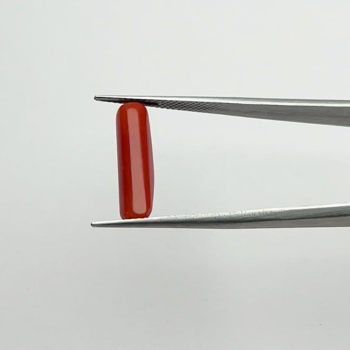 Red Coral | 5.00 Ratti