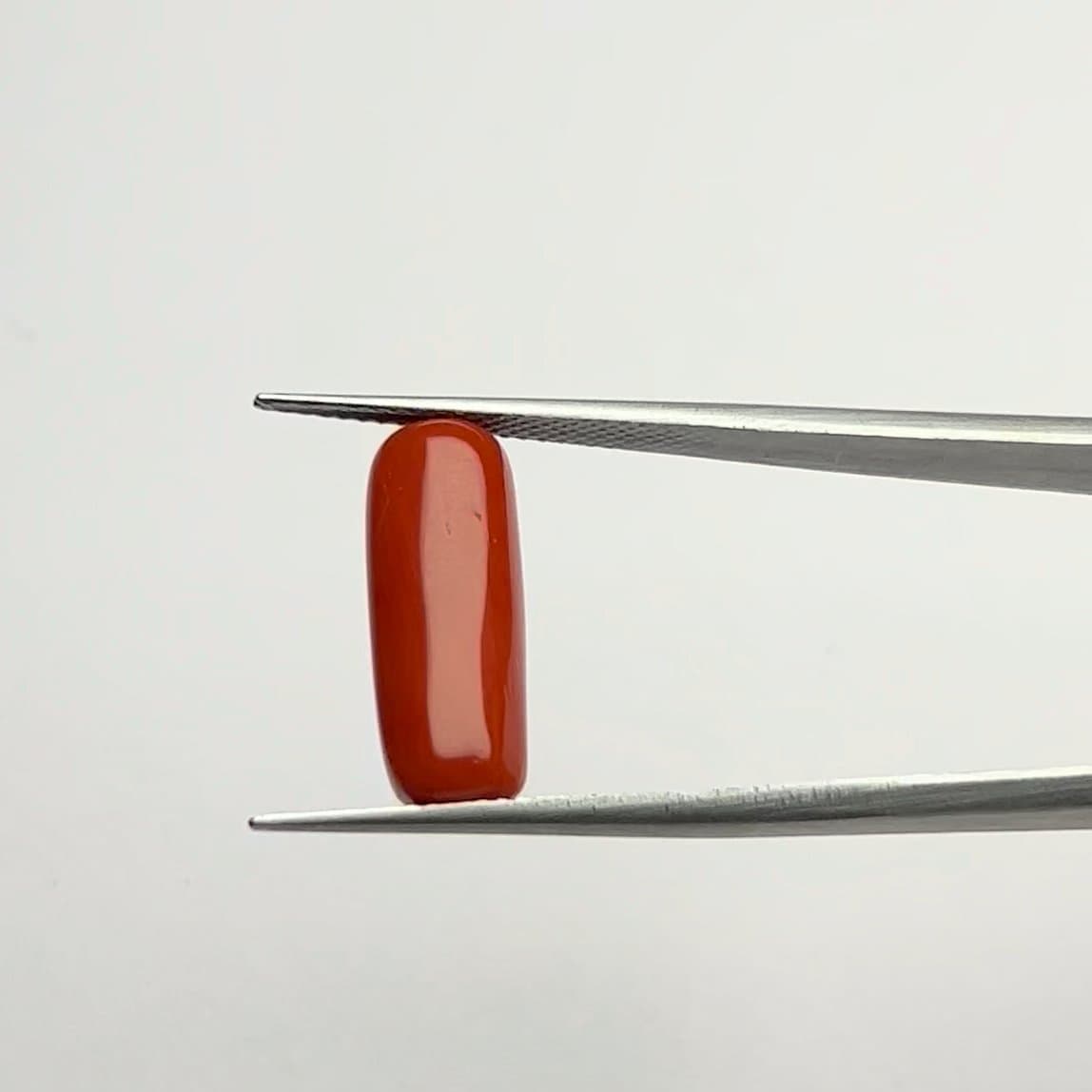 Red Coral | 6.50 Ratti