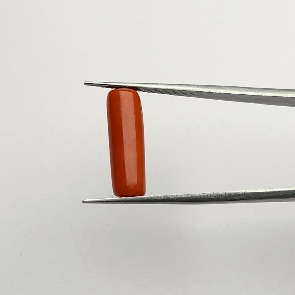 Red Coral | 6.50 Ratti
