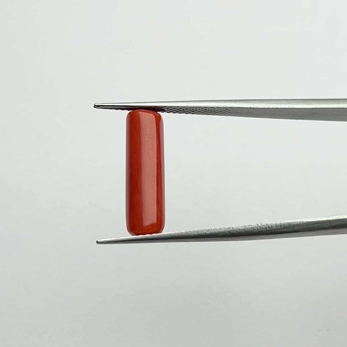 Red Coral | 5.25 Ratti
