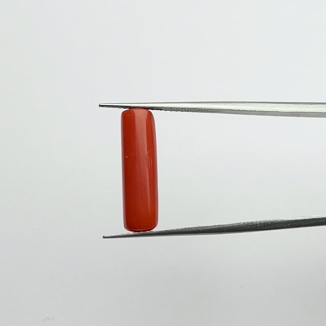 Red Coral | 5.25 Ratti