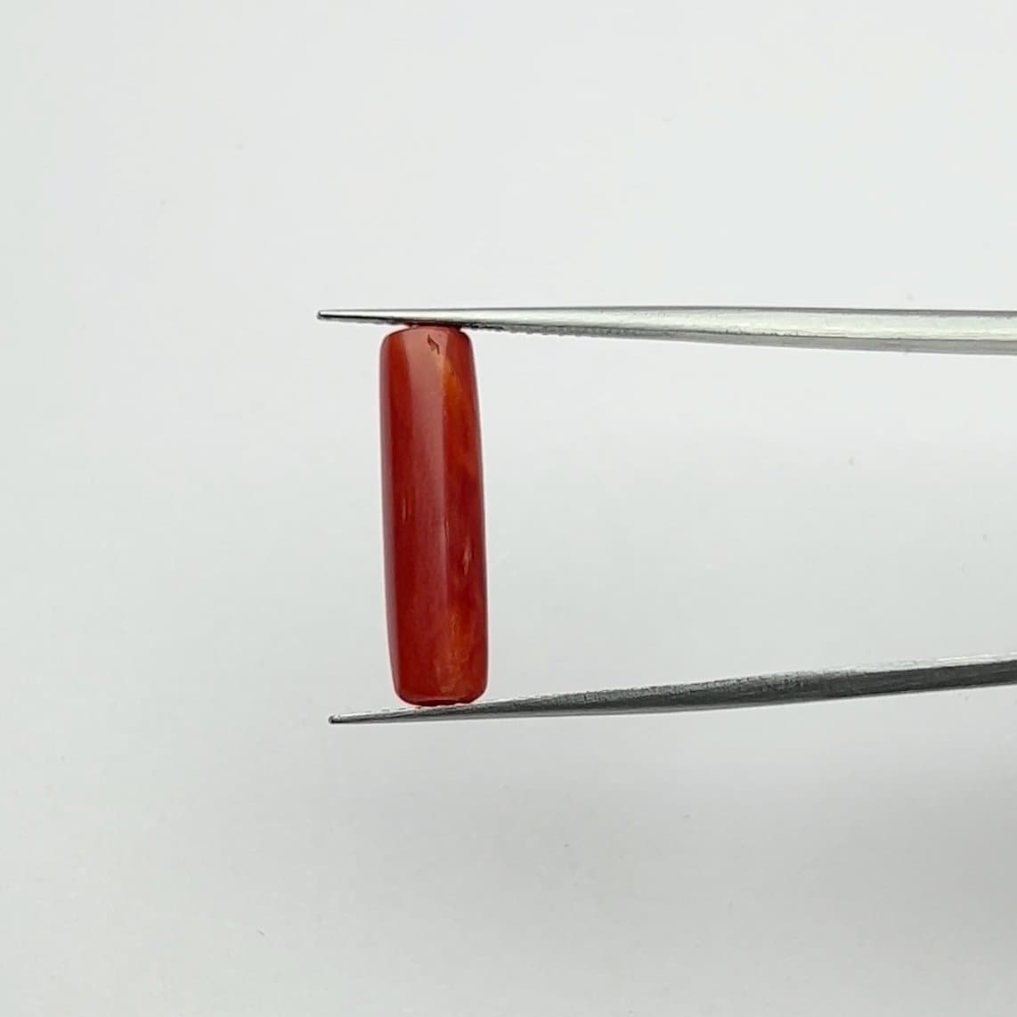 Red Coral | 5.50 Ratti