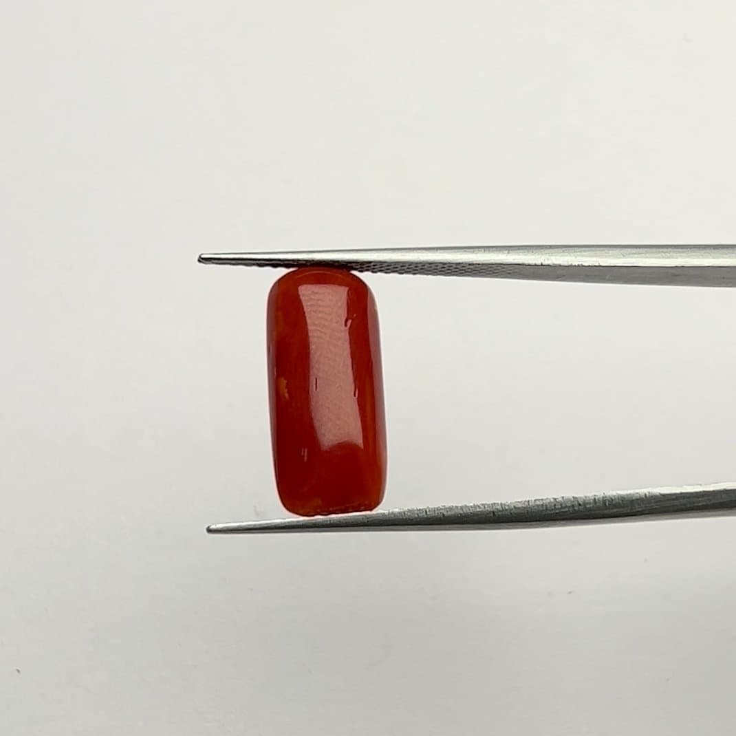 Red Coral | 6.50 Ratti