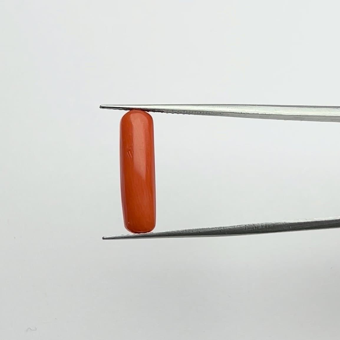 Red Coral | 5.00 Ratti