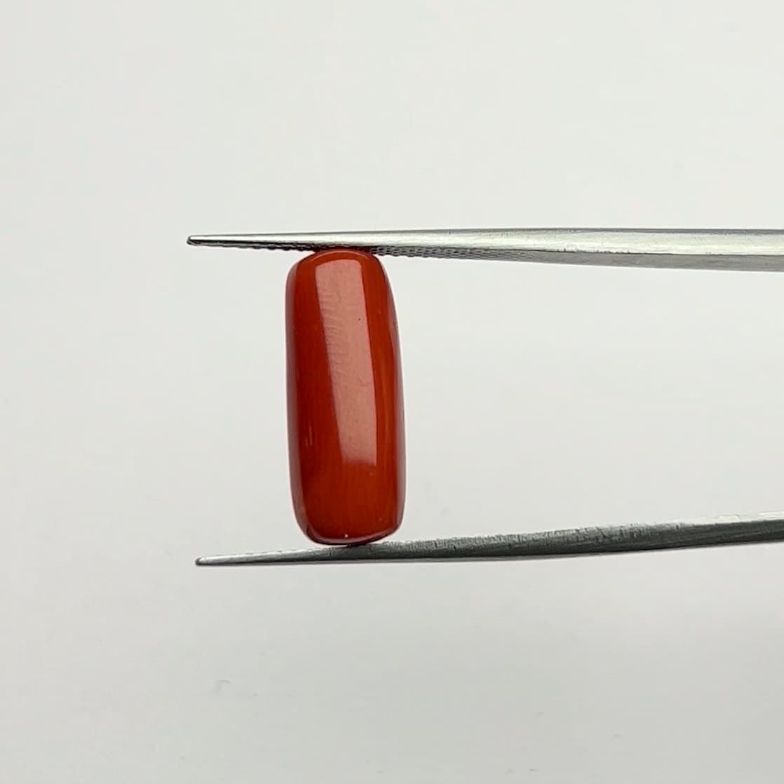 Red Coral | 6.50 Ratti