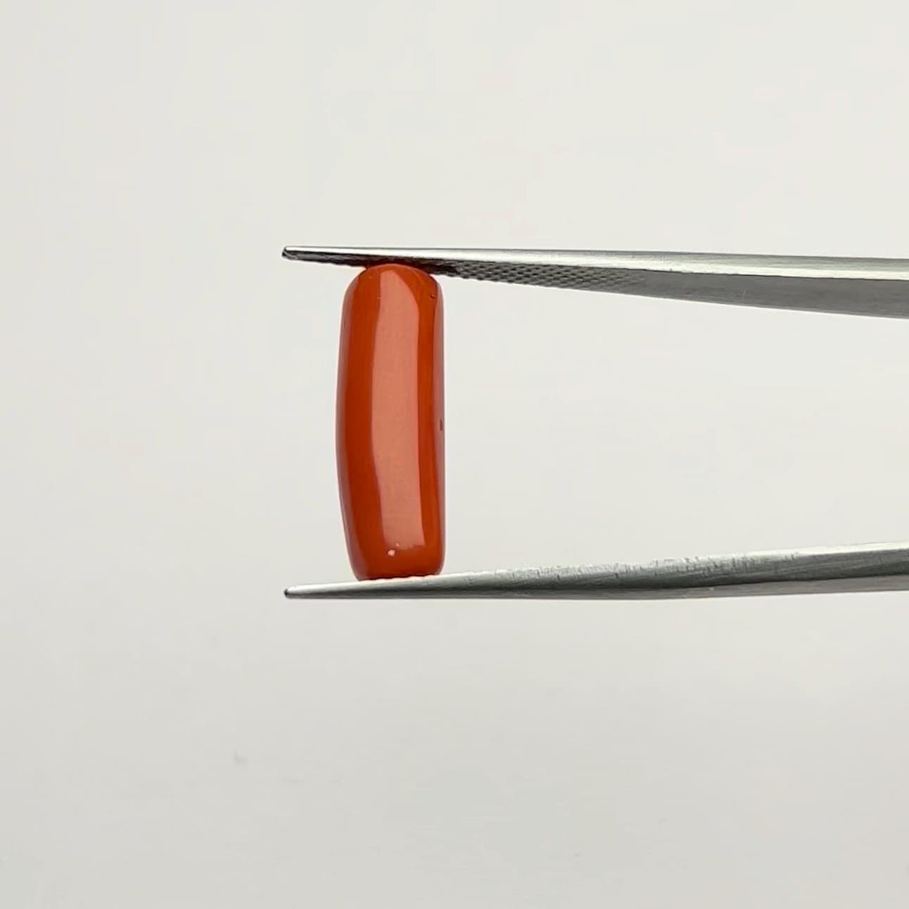 Red Coral | 6.00 Ratti