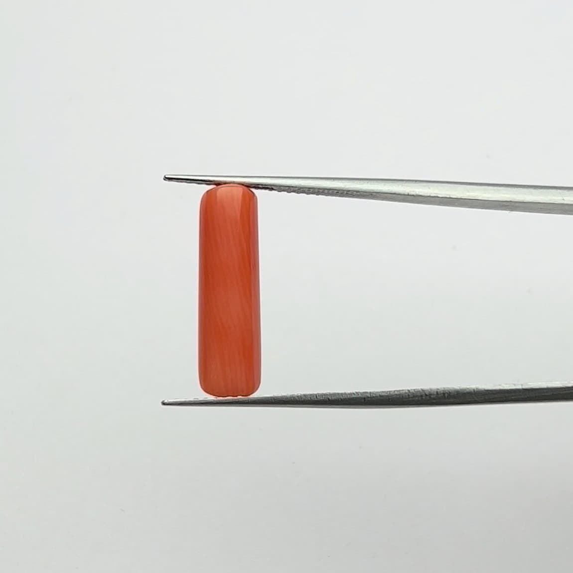 Red Coral | 5.00 Ratti