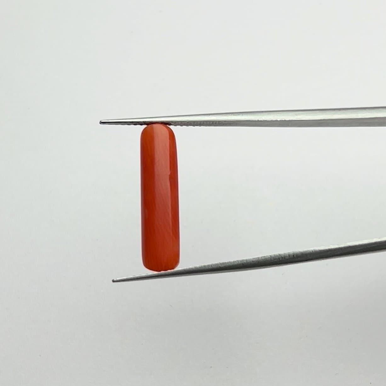 Red Coral | 5.00 Ratti