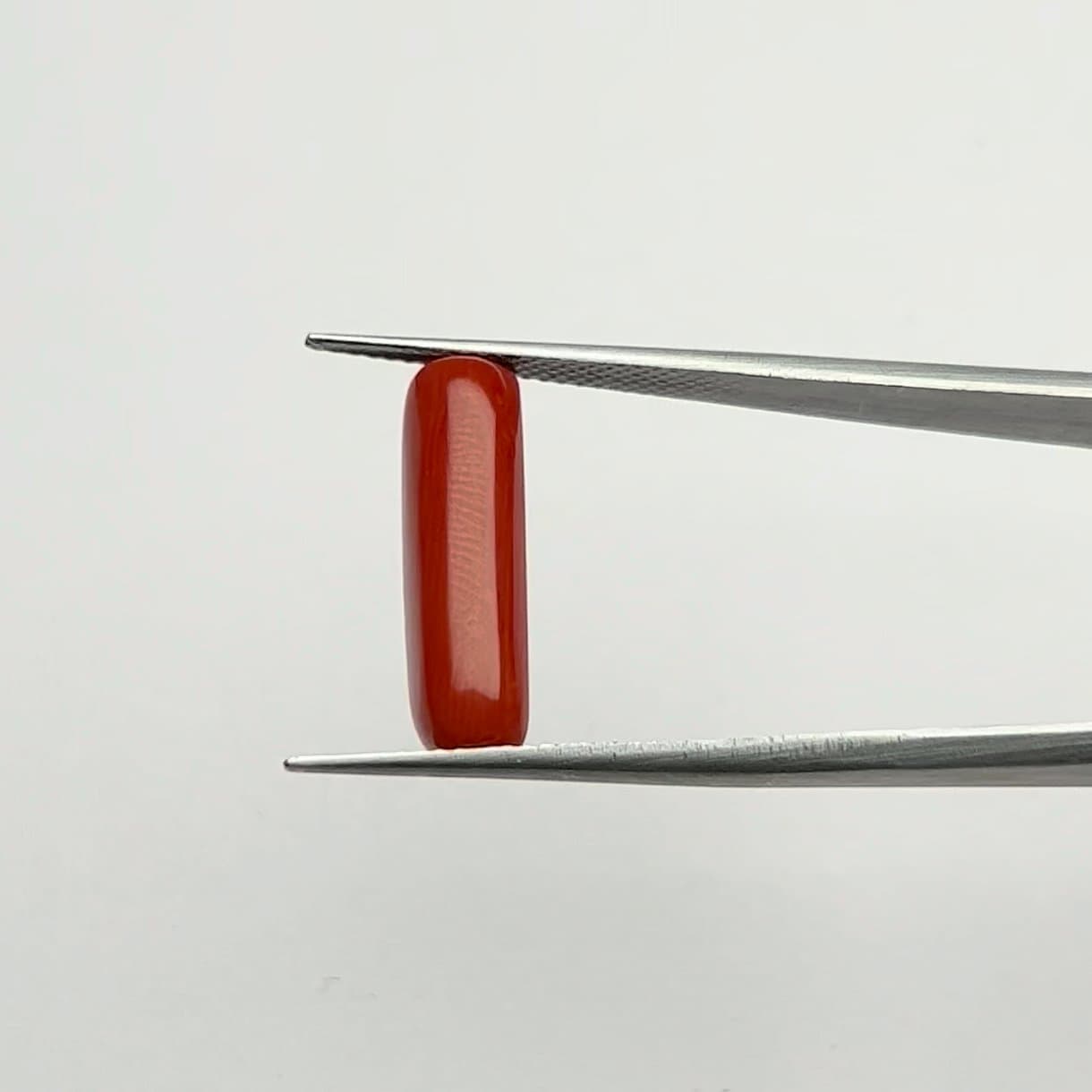 Red Coral | 6.25 Ratti