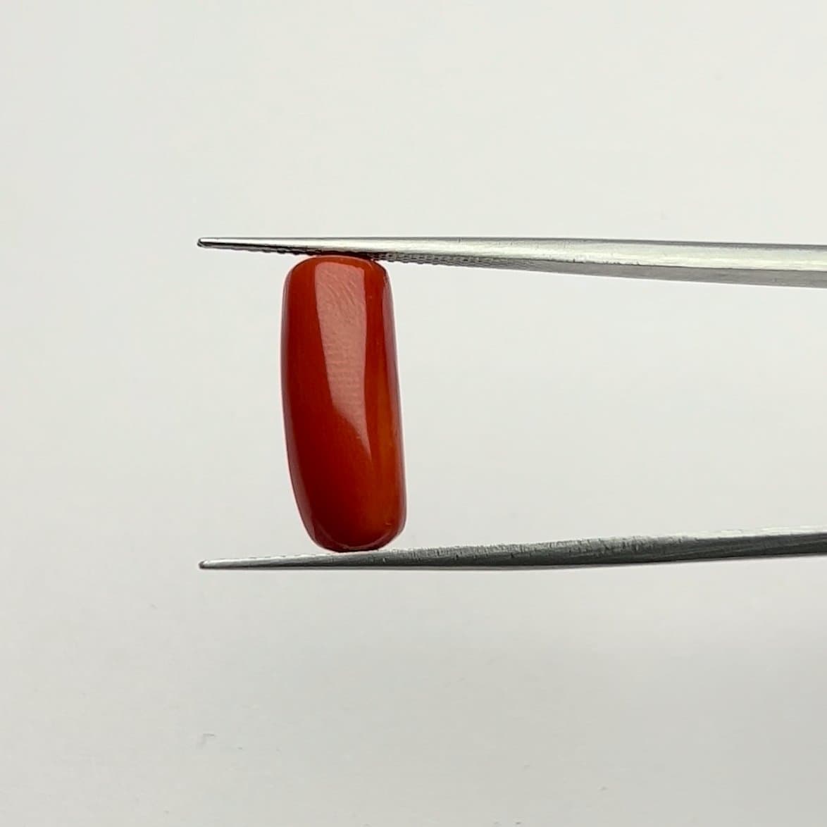 Red Coral | 6.50 Ratti