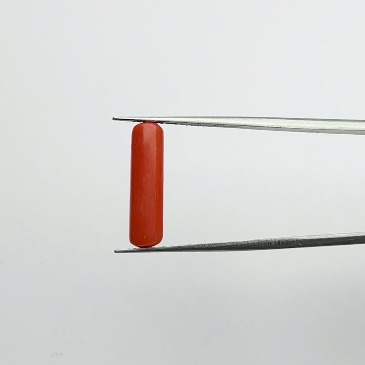 Red Coral | 5.00 Ratti
