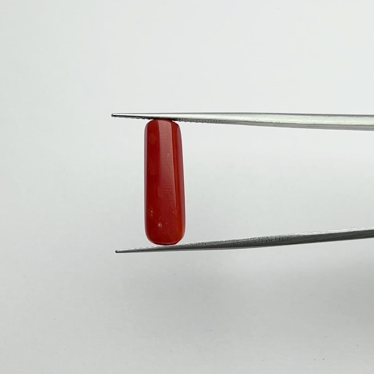 Red Coral | 5.50 Ratti