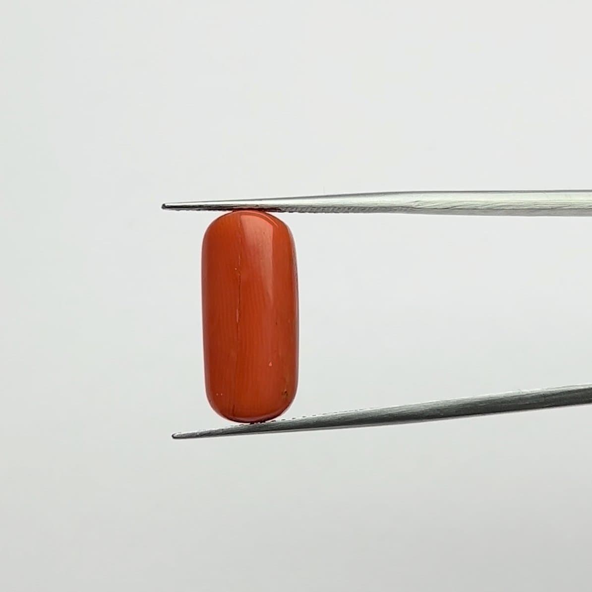 Red Coral | 9.00 Ratti