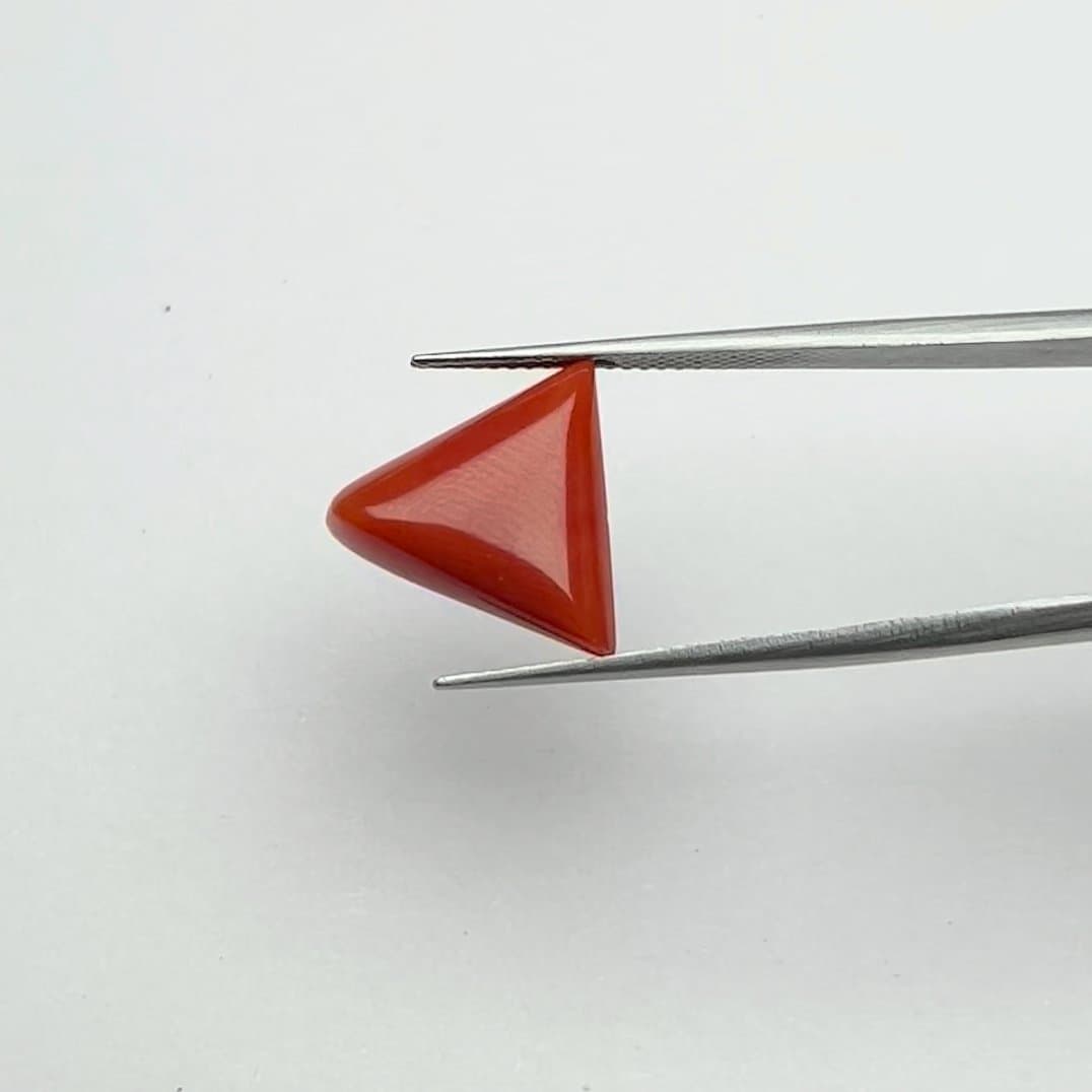 Red Coral | 7.00 Ratti