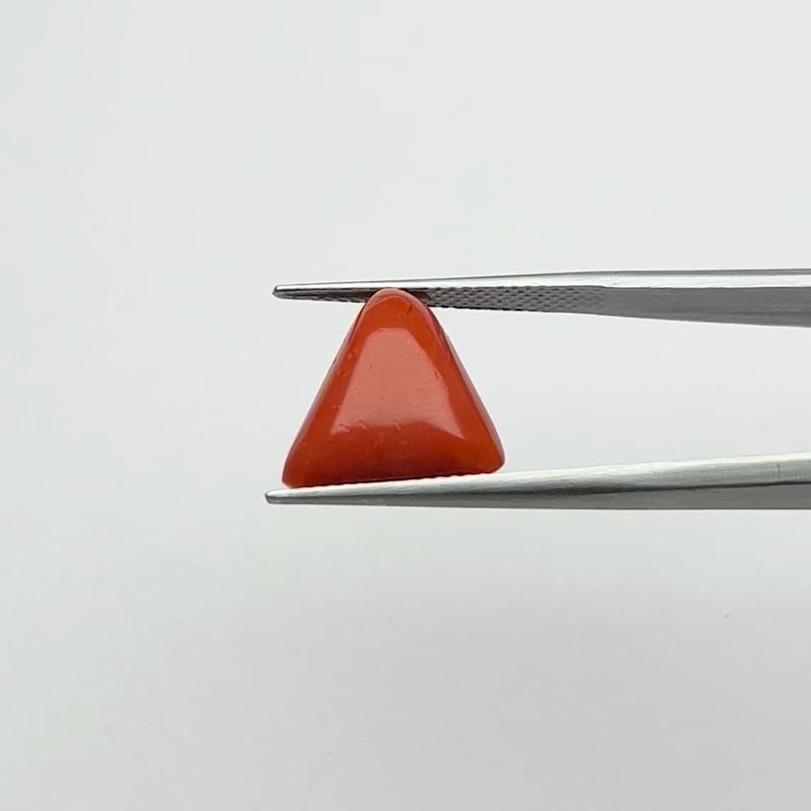 Red Coral | 8.25 Ratti