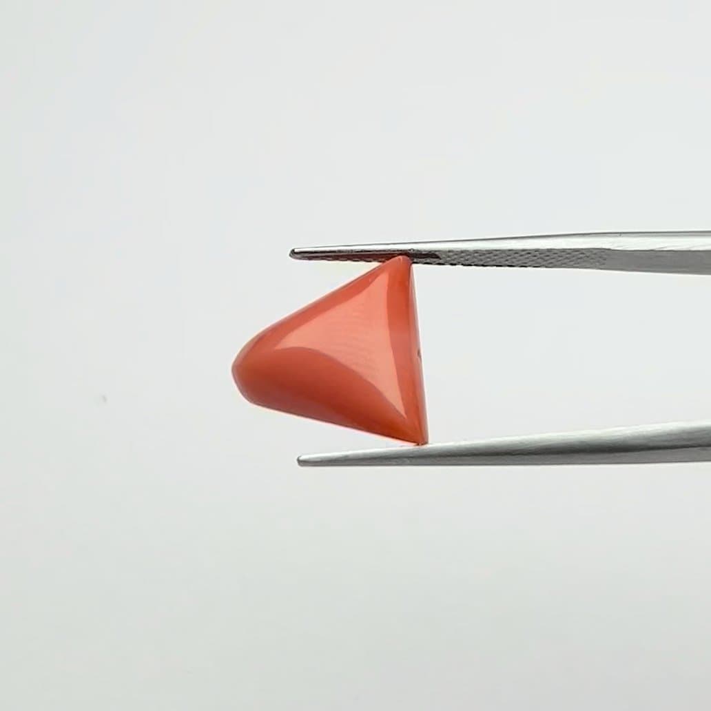 Red Coral | 7.00 Ratti