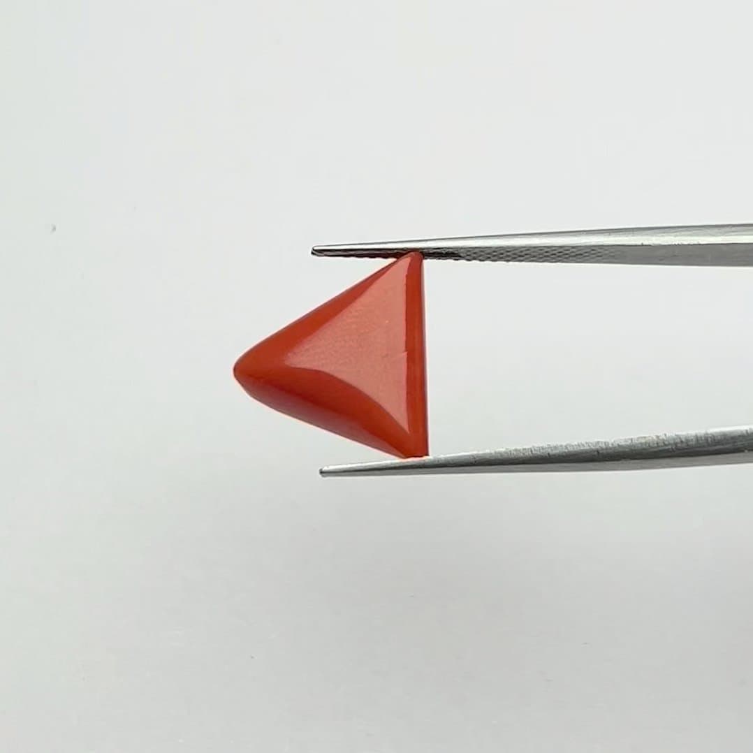 Red Coral | 7.00 Ratti