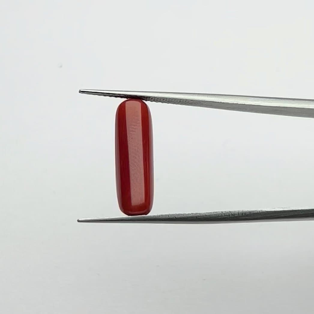 Red Coral | 5.50 Ratti