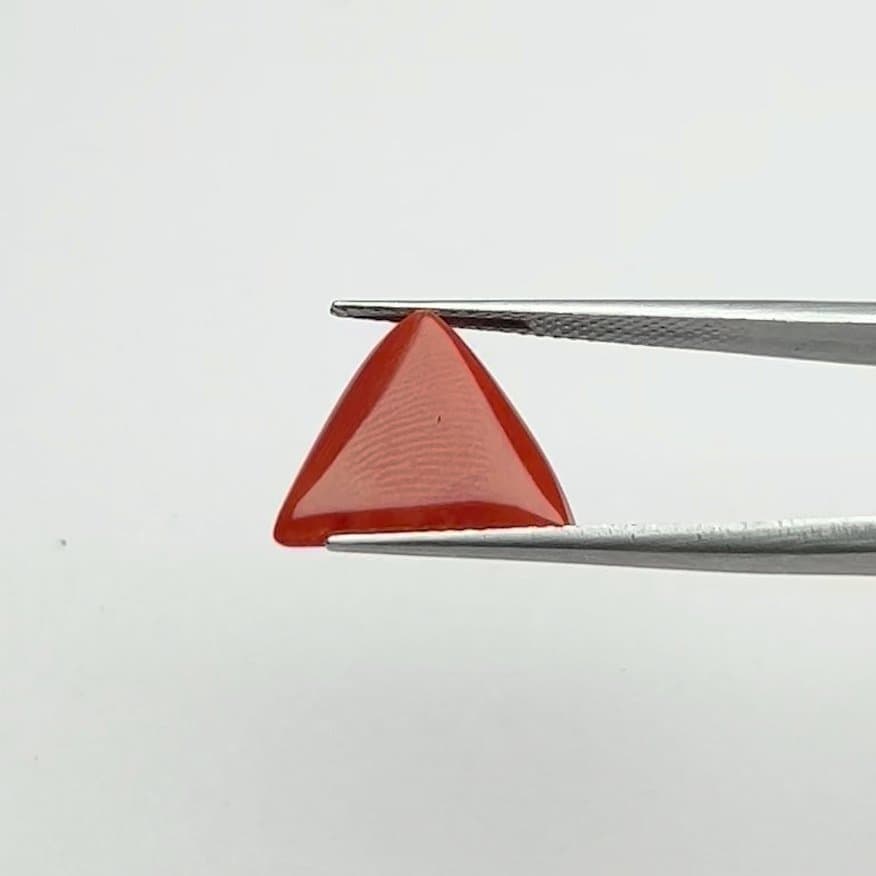 Red Coral | 6.50 Ratti