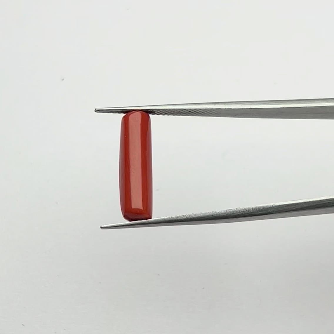 Red Coral | 5.50 Ratti