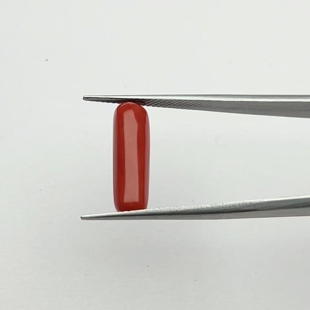 Red Coral | 5.50 Ratti