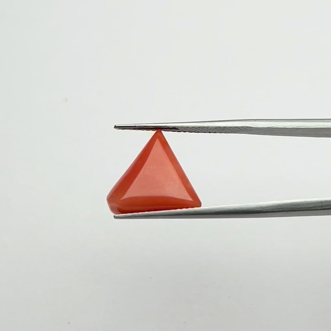 Red Coral | 7.25 Ratti