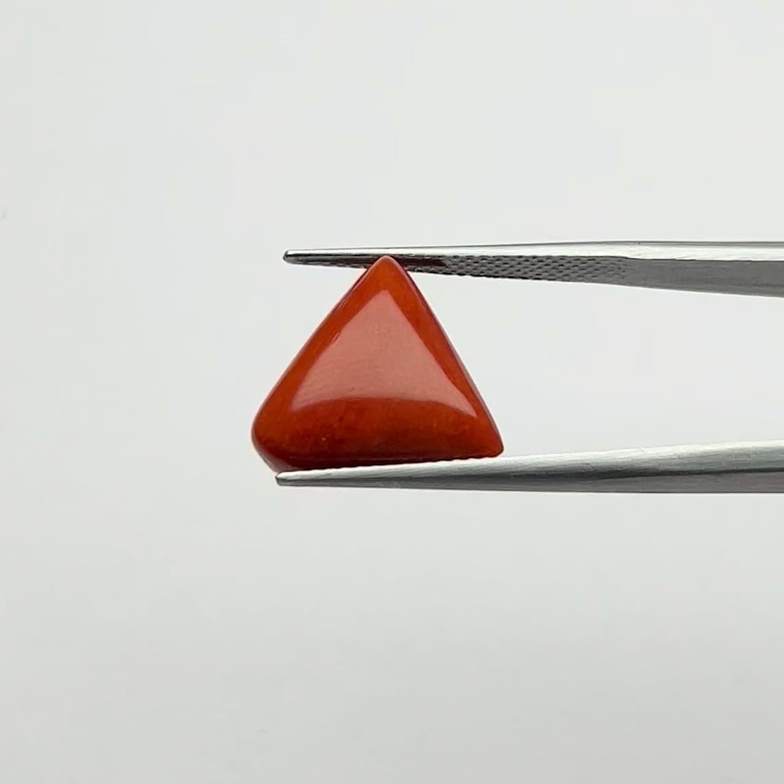 Red Coral | 8.50 Ratti