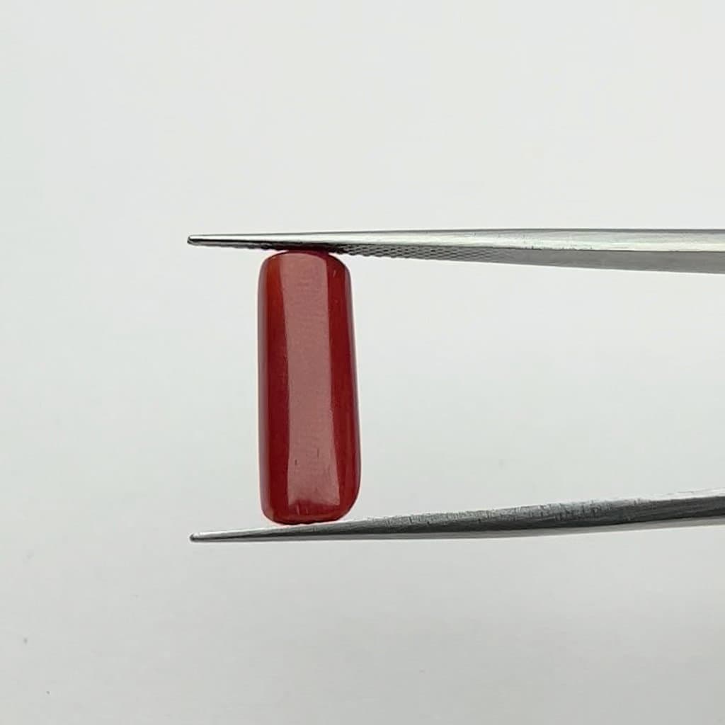 Red Coral | 6.00 Ratti