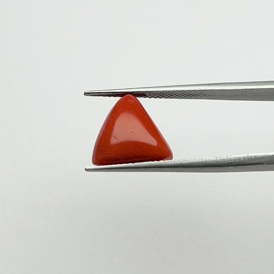 Red Coral | 7.50 Ratti