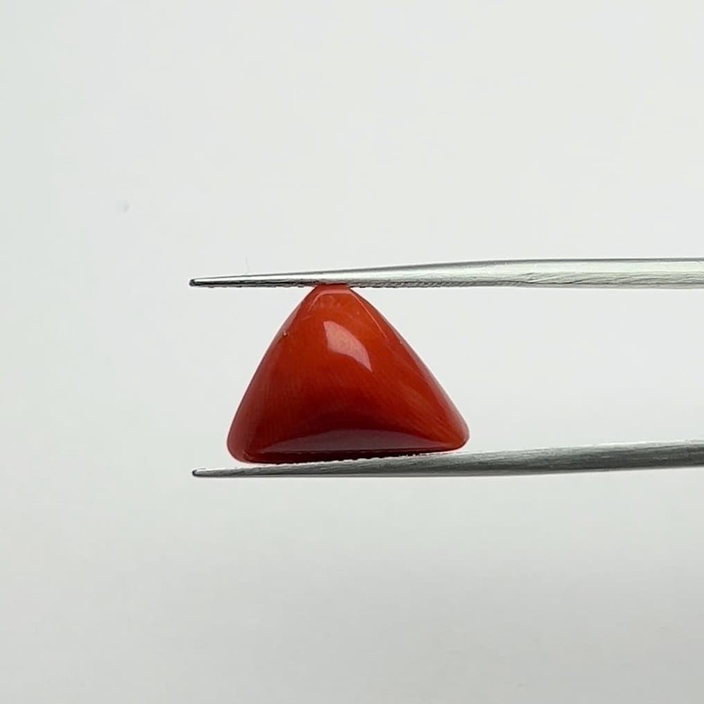 Red Coral | 7.00 Ratti