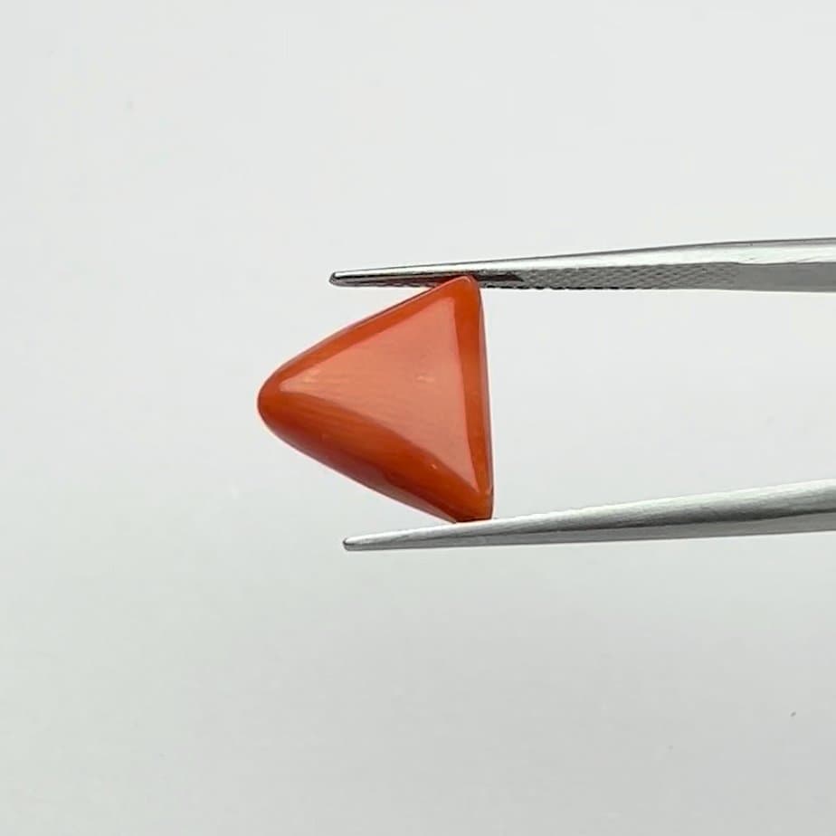 Red Coral | 5.50 Ratti