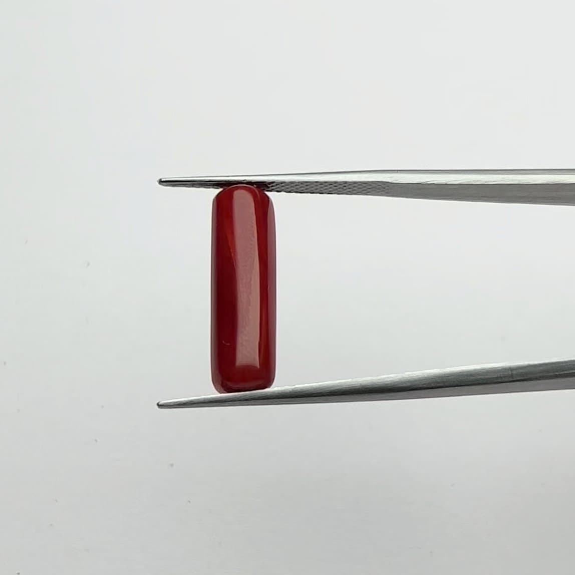 Red Coral | 5.50 Ratti
