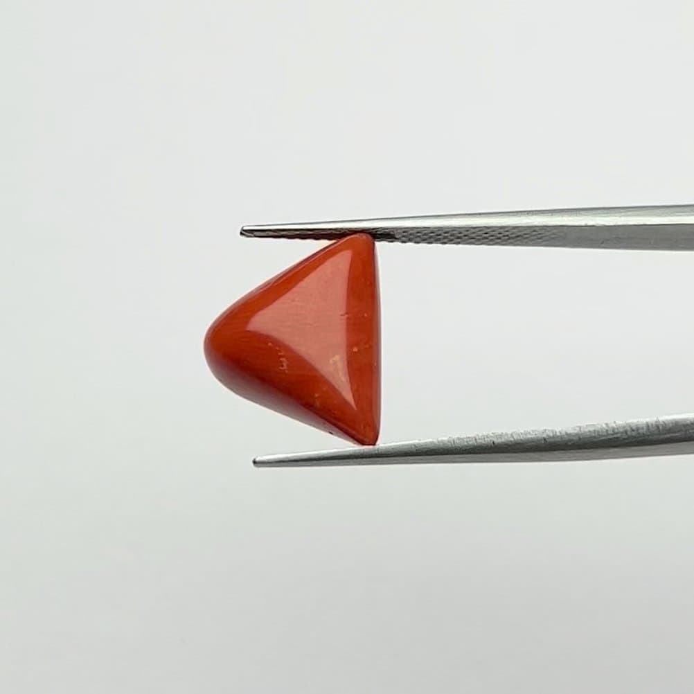 Red Coral | 7.50 Ratti
