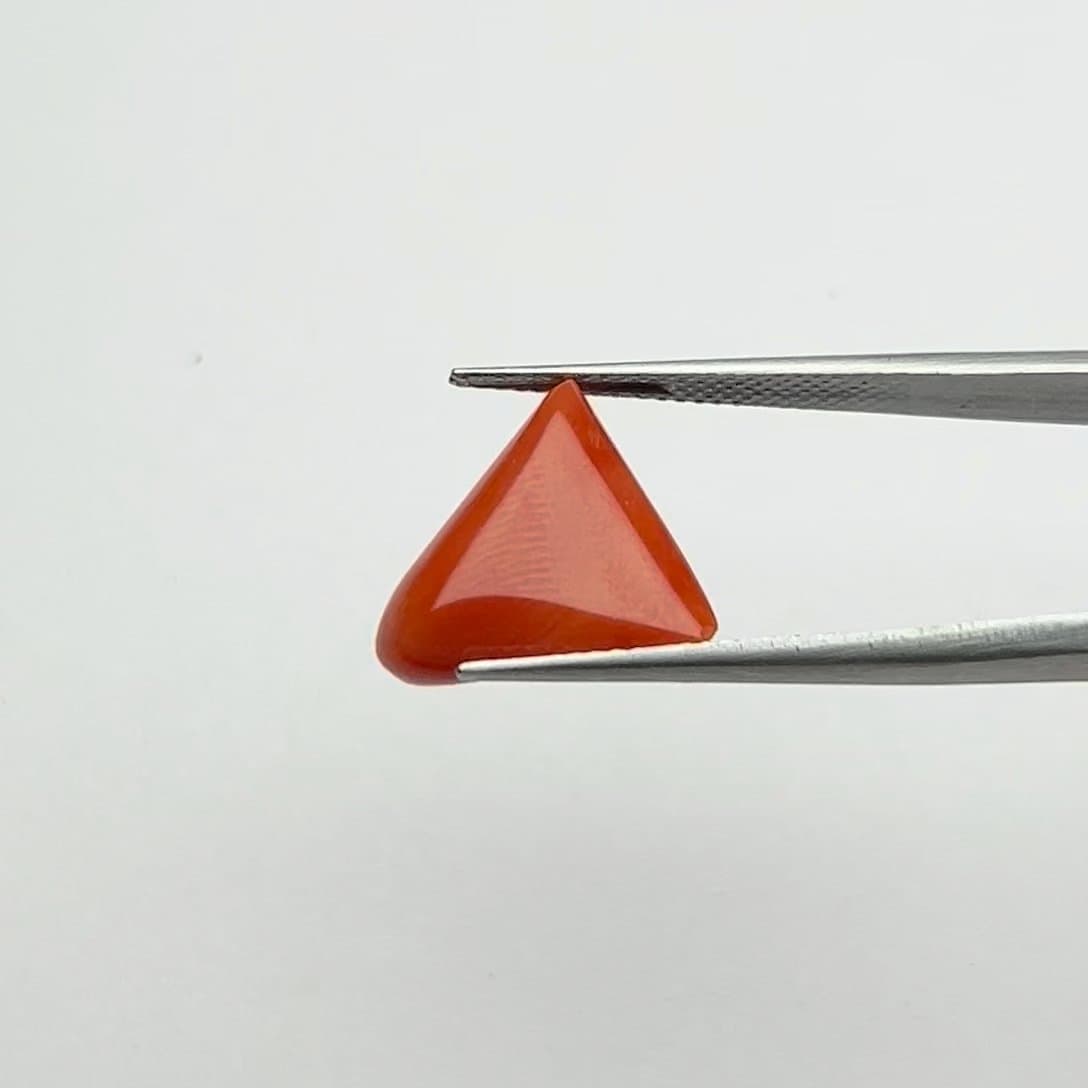 Red Coral | 6.50 Ratti