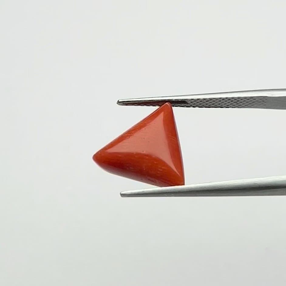 Red Coral | 6.50 Ratti